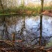 Lower Pond